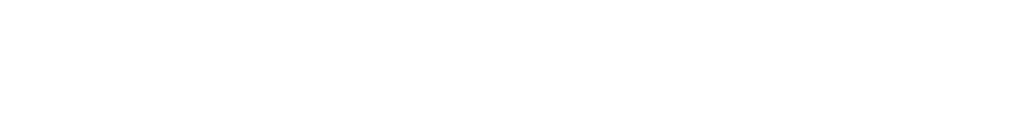 SEIYU ADVANTAGE